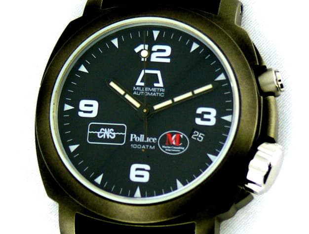Anonimo Polluce
