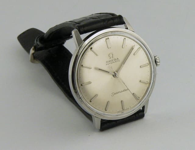 Omega Seamaster Steel