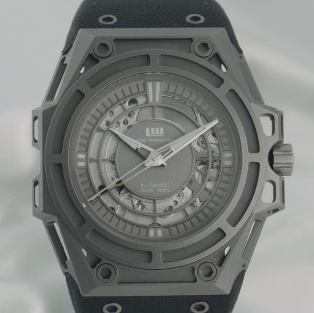 Linde Werdelin SpidoLite SA