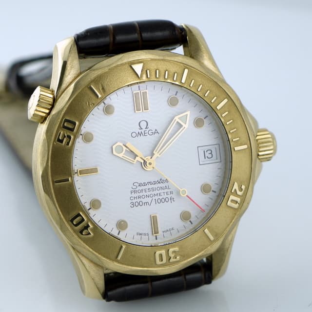 Omega Seamaster Professional YG