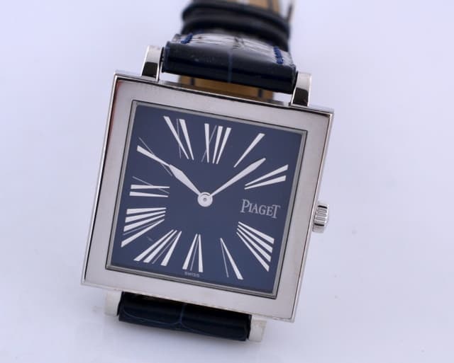 Piaget WG Manual
