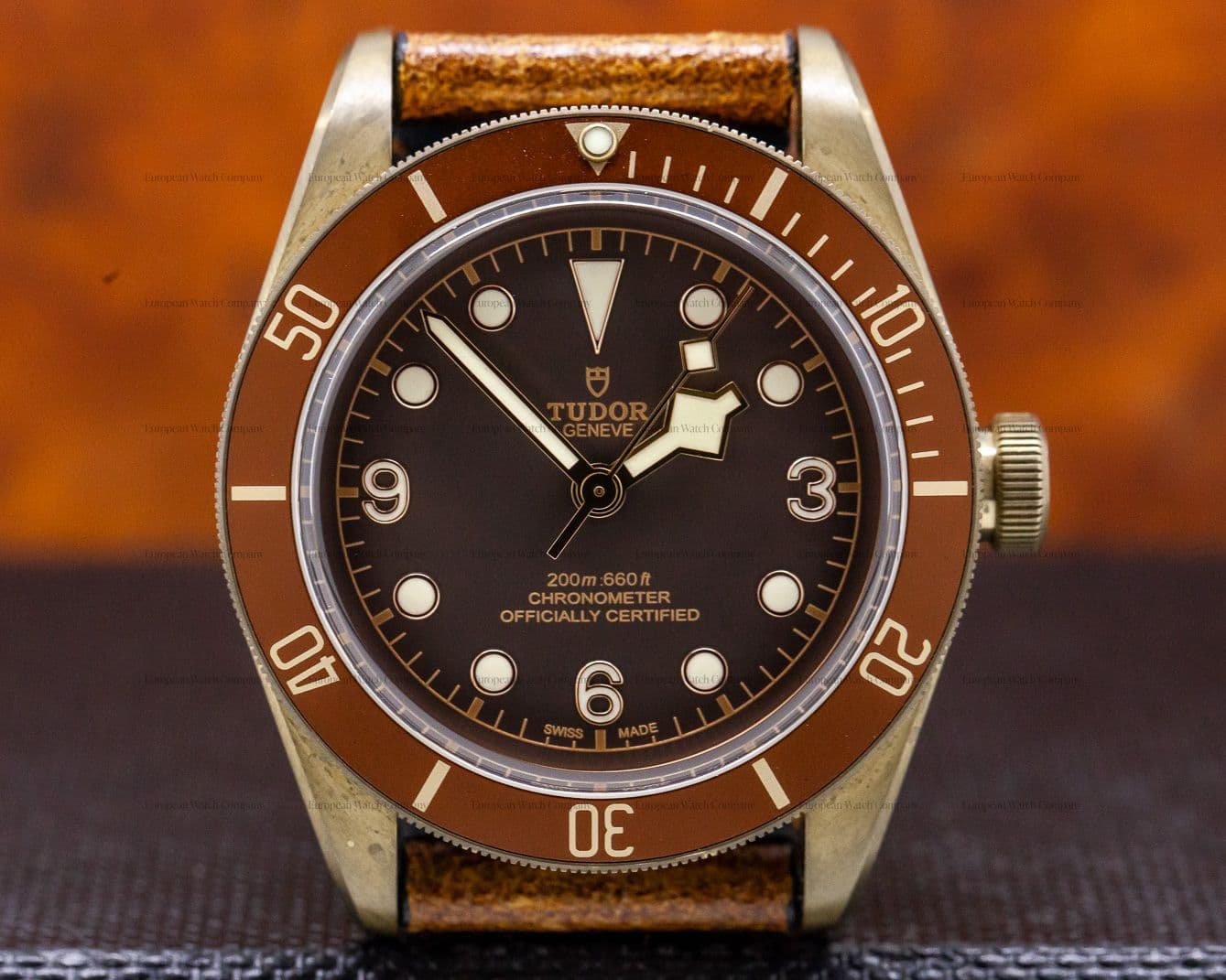Tudor Tudor Heritage Black Bay Bronze 