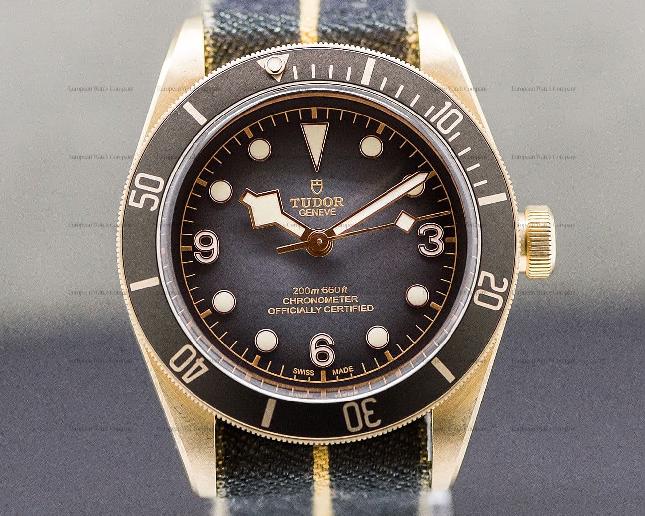 Tudor Tudor Heritage Black Bay Bronze Slate Dial New For 2019