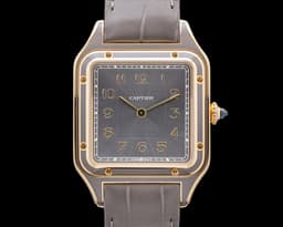 Santos Dumont 18K Yellow Gold Gray Dial 2025