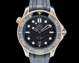 Seamaster Diver 300M SS / 18K Rose Gold Black Dial