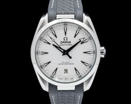 Seamaster Aqua Terra 150M Master Co-Axial SS Silver Dial 2024