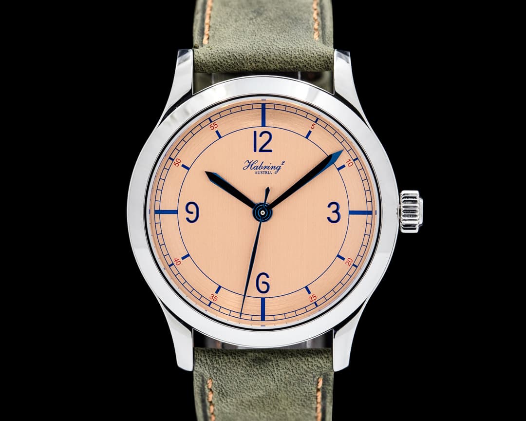 Image of Habring Erwin Scientific SS Salmon Sector Dial