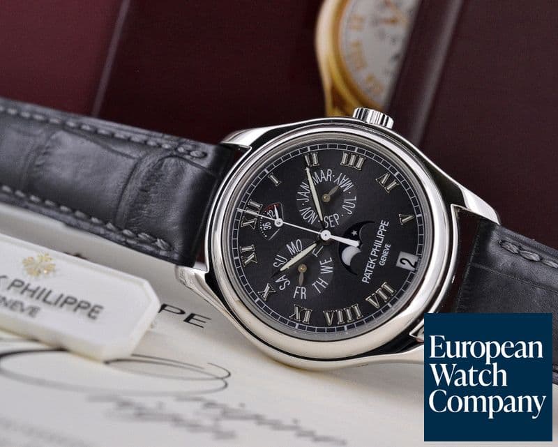 Image of Patek Philippe Annual Calendar Power Reserve Grey Dial Platinum 