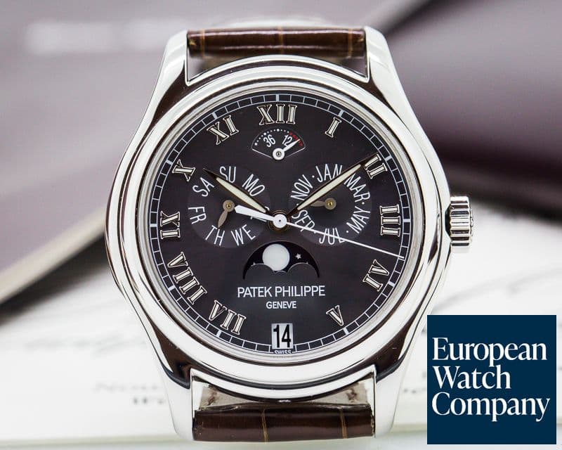 Image of Patek Philippe Annual Calendar Power Reserve Grey Dial Platinum 