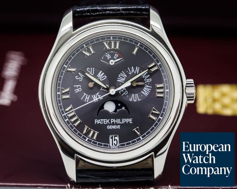 Image of Patek Philippe Annual Calendar Power Reserve Grey Dial Platinum 