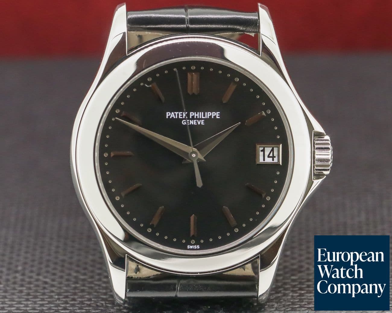 Image of Patek Philippe Calatrava Automatic Platinum Black Dial RARE