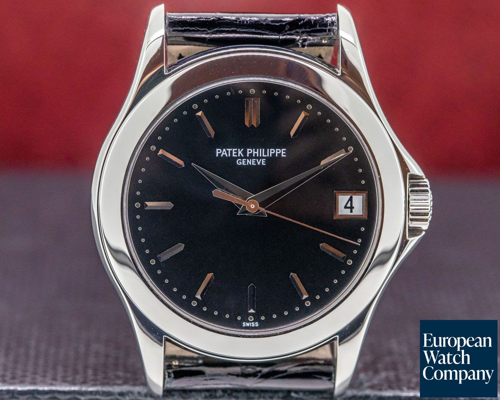 Image of Patek Philippe Calatrava Automatic Platinum Black Dial RARE