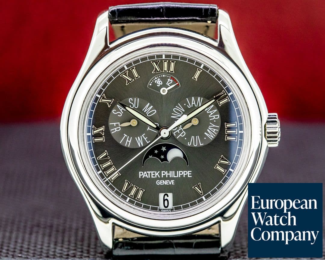 Image of Patek Philippe Annual Calendar 5056P Power Reserve Grey Dial Platinum 