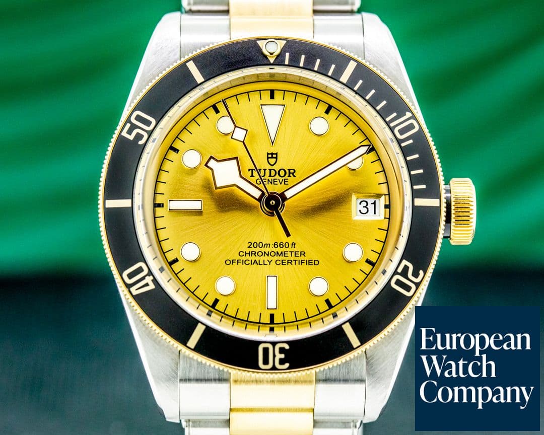 Image of Tudor Tudor Heritage 79733N Black Bay SS / 18k YG