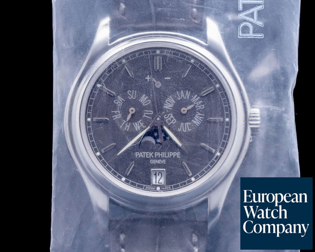 Image of Patek Philippe Annual Calendar 5146P Grey Dial Platinum SEALED UNWORN
