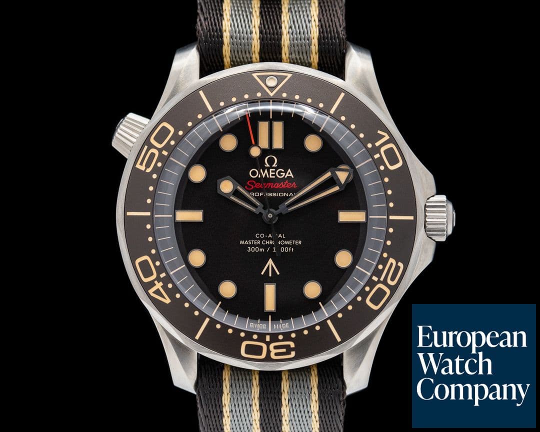 Image of Omega Seamaster Diver 300M 007 Titanium 42MM