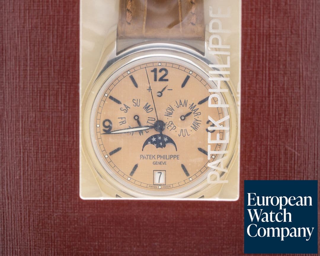 Image of Patek Philippe Advanced Research 5450P Annual Calendar Platinum Salmon Dial SEALED