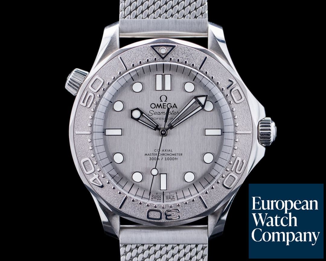 Image of Omega Seamaster Diver 300M SS Gray Dial 2025