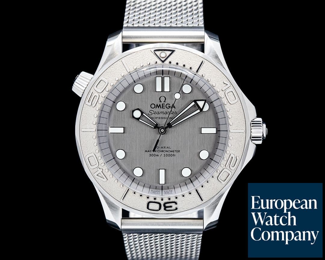Image of Omega Seamaster Diver 300M SS Gray Dial 2025
