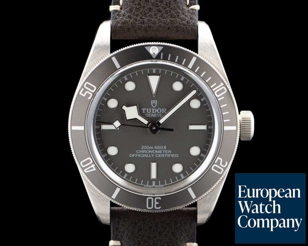 Image of Tudor 79010SG Black Bay Fifty-Eight Silver Taupe Dial 2025