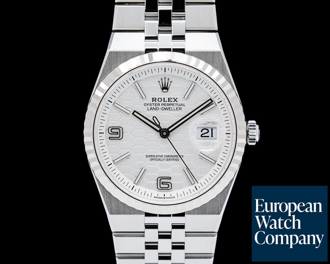 Image of Rolex 127234 Land-Dweller 36MM SS White Dial 2026 UNWORN