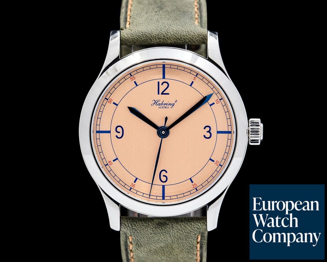 Image of Habring Erwin Scientific SS Salmon Sector Dial