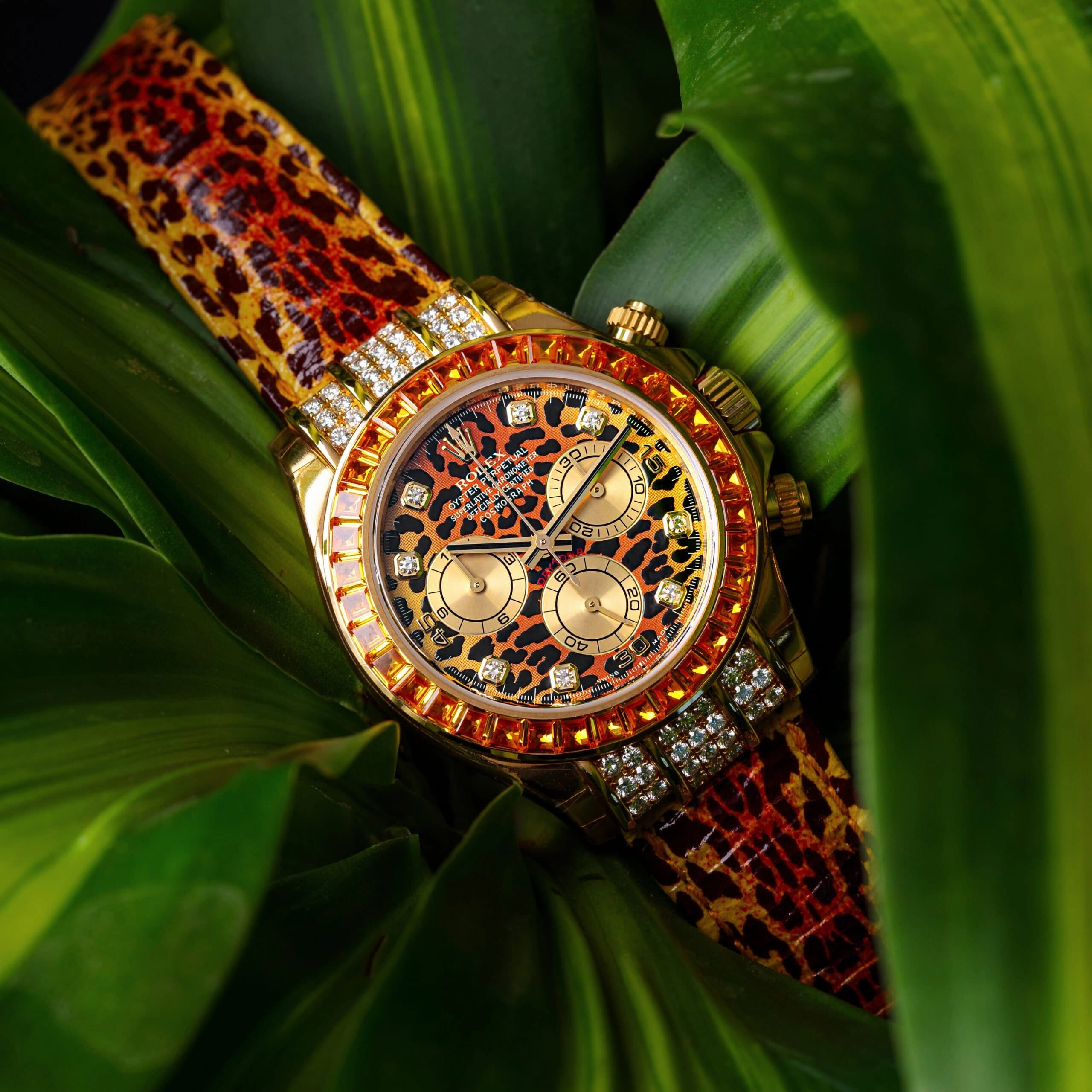 Peak Polarization: The Rolex Daytona 116598 SACO Leopard