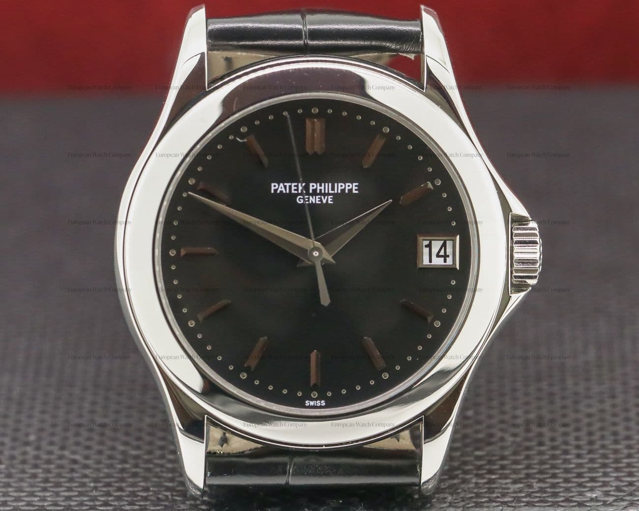 Patek Philippe Calatrava Automatic Platinum Black Dial RARE